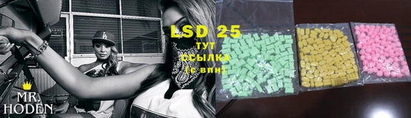 МДПВ Бородино