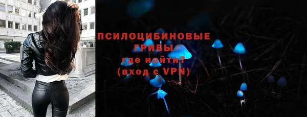 марки lsd Заводоуковск