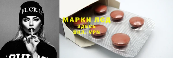 МДПВ Бородино
