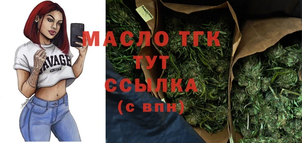 МДПВ Бородино