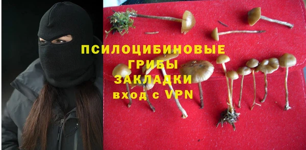 МДПВ Бородино