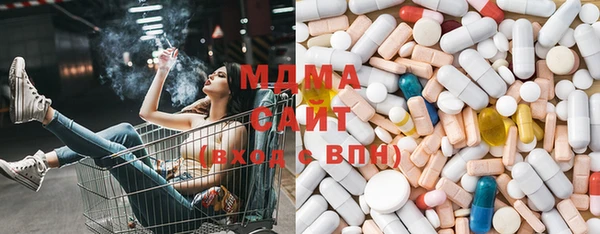 МДПВ Бородино