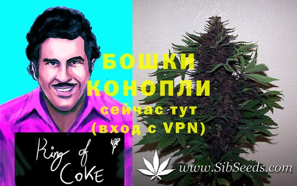 МДПВ Бородино