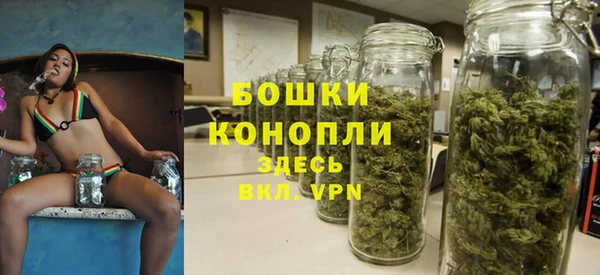 МДПВ Бородино