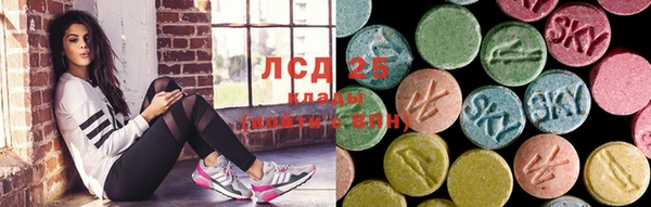 МДПВ Бородино